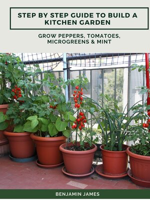 cover image of Step by Step Guide to Build a Kitchen Garden